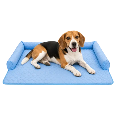 Pawlax